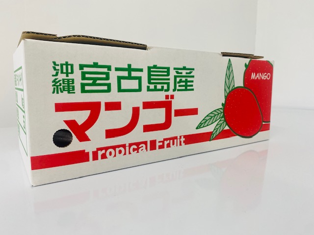 宮古島産【家庭用マンゴー】1kg 県内・県外発送 | 大野果樹園／宮古島